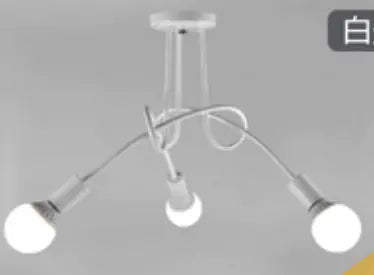 Modern Ceiling Lamp