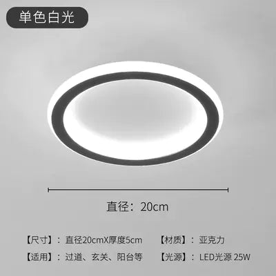 LED Ceiling Light