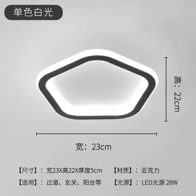 LED Ceiling Light