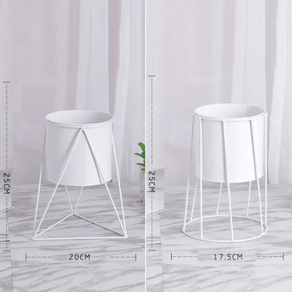 Geometría Botánica