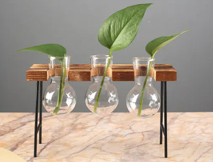 Jarrón Hidropónico de Vidrio y Marco de Madera