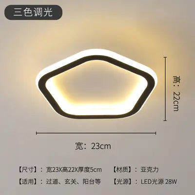 LED Ceiling Light