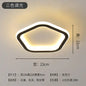 LED Ceiling Light