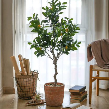 Maceta de Arcilla Roja Vintage