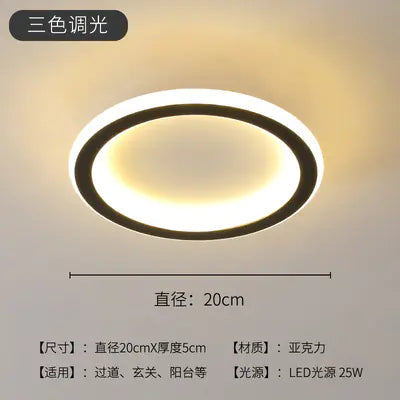 LED Ceiling Light