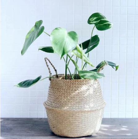 Woven Planter