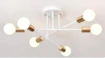 Modern Ceiling Lamp
