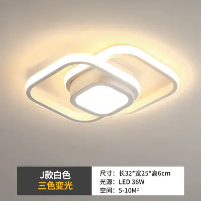 LED Ceiling Light
