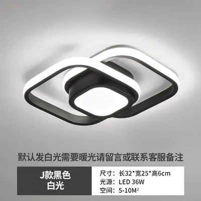 LED Ceiling Light