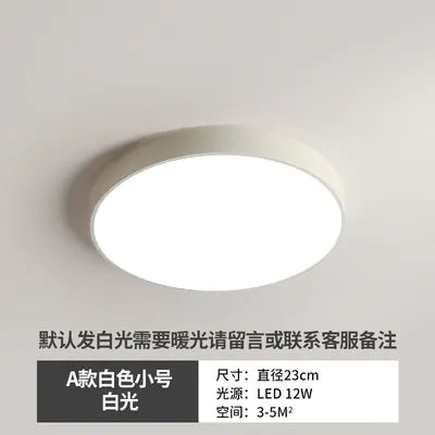 LED Ceiling Light