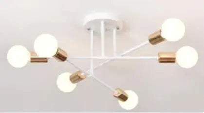 Modern Ceiling Lamp