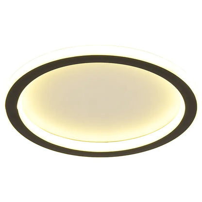 LED Ceiling Light