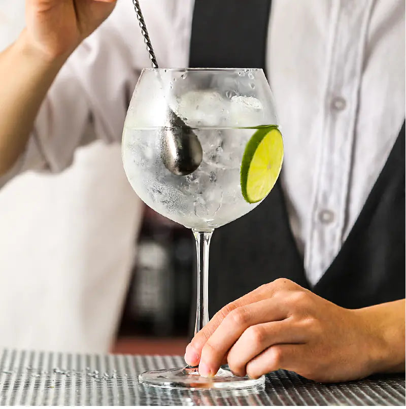 Copas de Gin Tonic y Vino