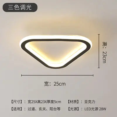 LED Ceiling Light