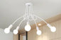 Modern Ceiling Lamp