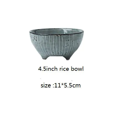 Japanese Ceramic Dinnerware Set