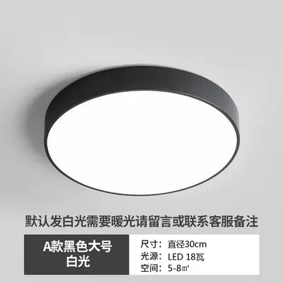 LED Ceiling Light