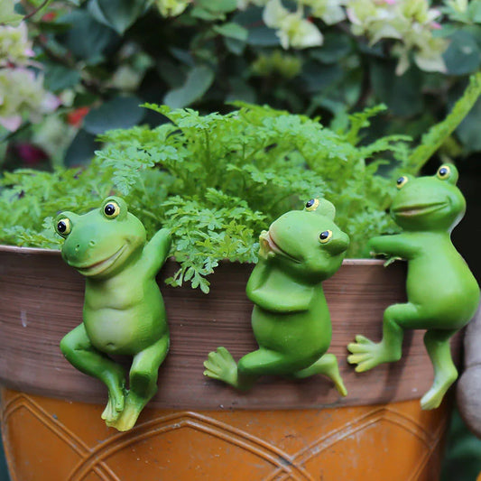 Garden Frog