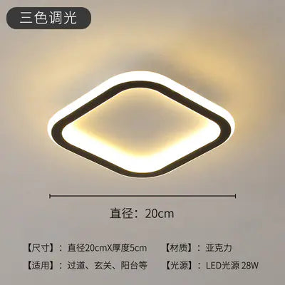 LED Ceiling Light