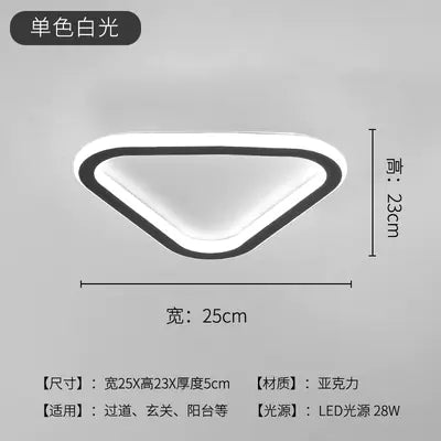 LED Ceiling Light