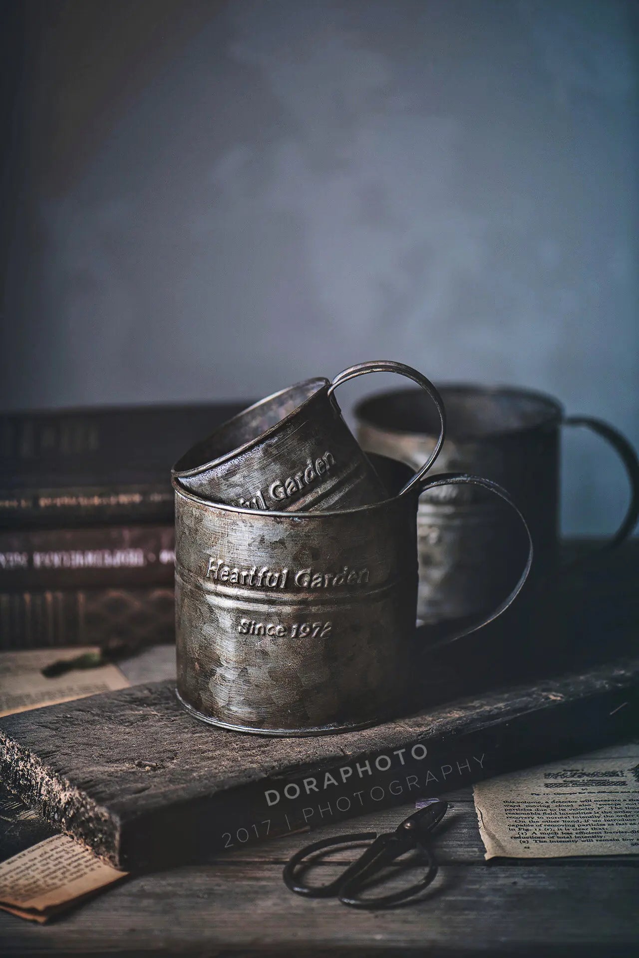 Iron Flower Bucket with English Print