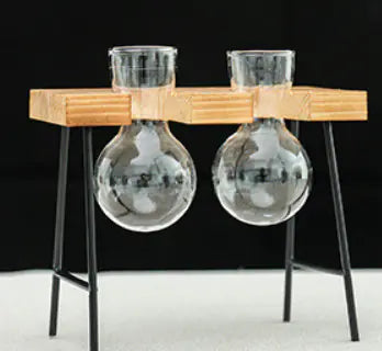 Jarrón Hidropónico de Vidrio y Marco de Madera