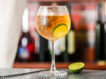 Copas de Gin Tonic y Vino