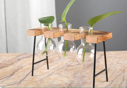 Jarrón Hidropónico de Vidrio y Marco de Madera