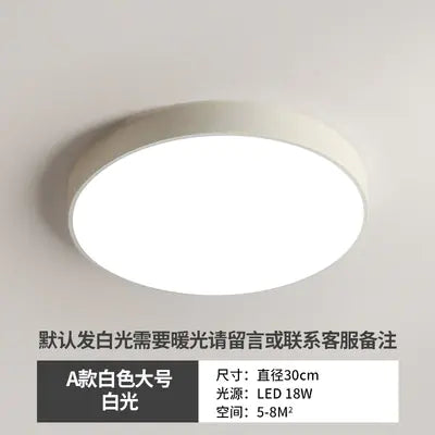 LED Ceiling Light